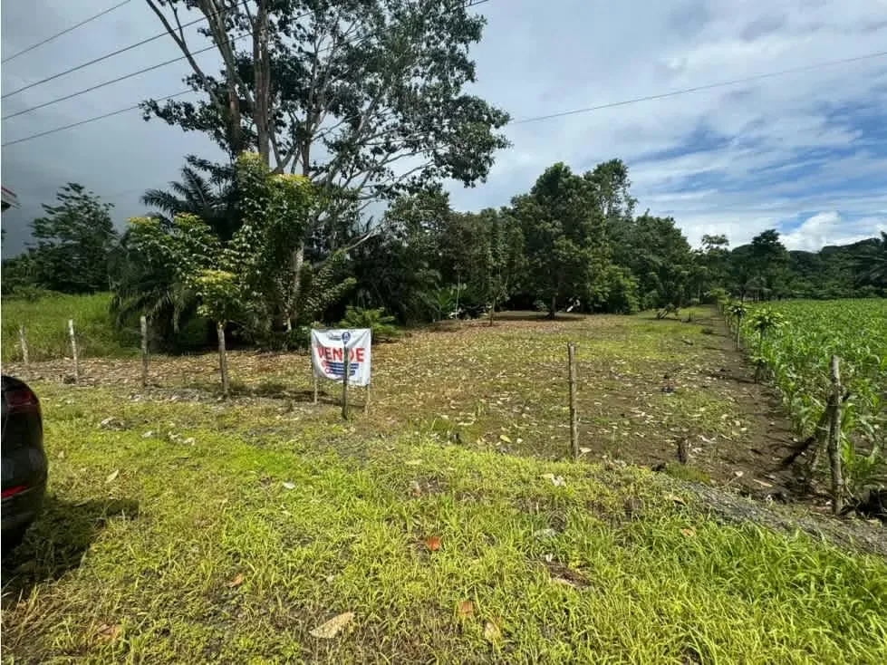 Lote con potencial para desarrollo turístico, a solo 10 minutos del centro de Puerto Jiménez y Aeropuerto.