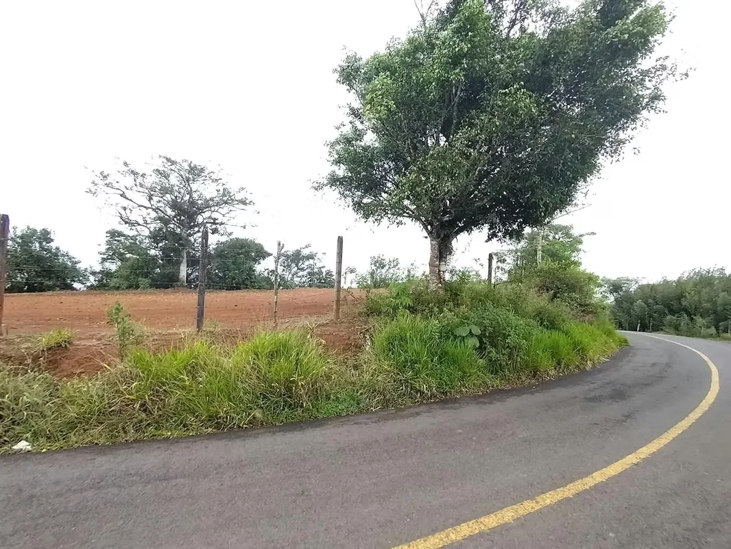 TERRENO CON VISTA PANORÁMICA EN VENTA, SAN RAMÓN, ALAJUELA