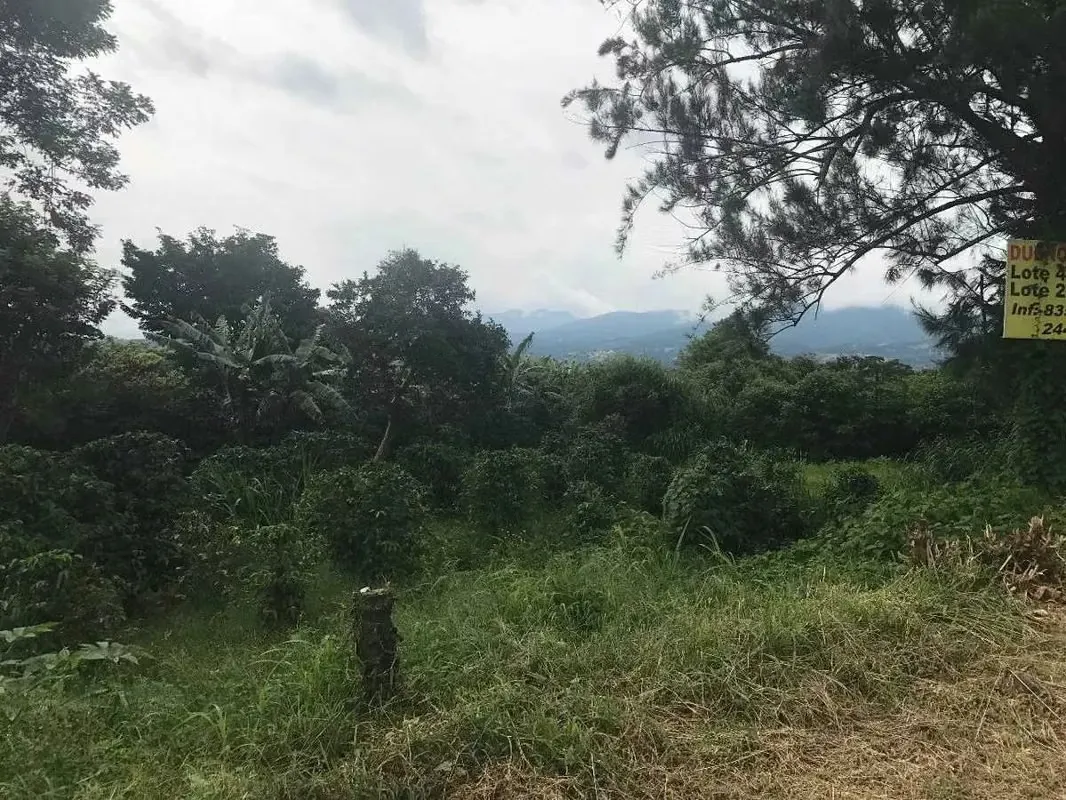 MA Asesorías Vende Lote sobre marginal Carretera Braulio Carrillo, en Distrito Pará de Santo Domingo, Heredia. — photo 3
