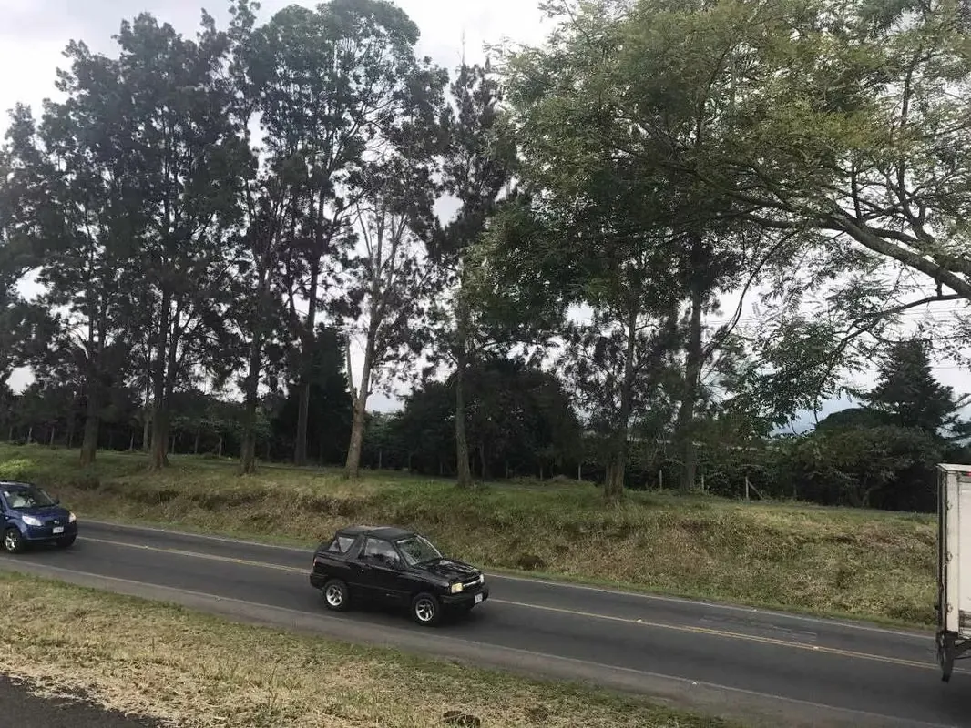 MA Asesorías Vende Lote sobre marginal Carretera Braulio Carrillo, en Distrito Pará de Santo Domingo, Heredia. — photo 4
