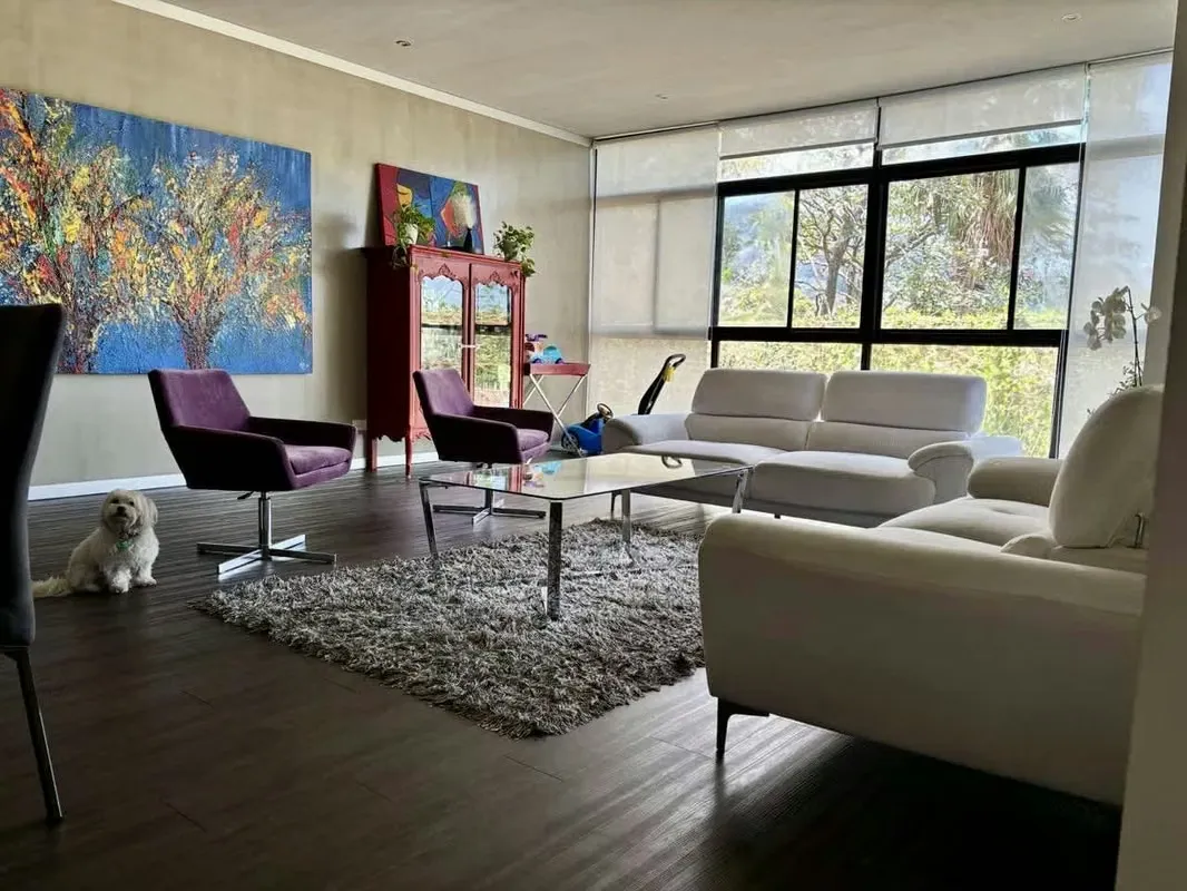 Rio Oro, Santa Ana, Condominio Arborea Flats, contiguo al Automercado