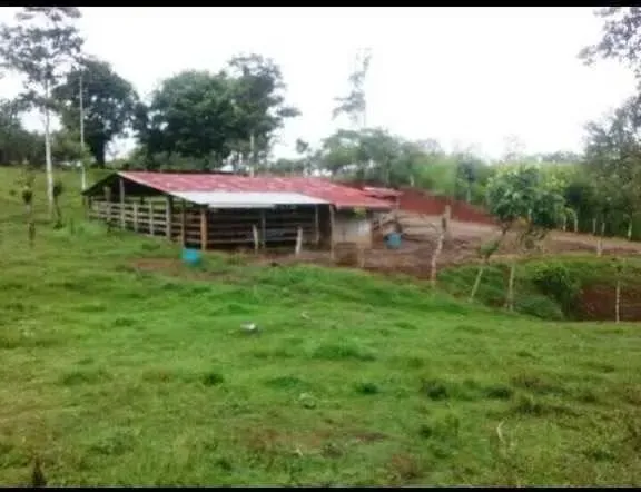 Finca en Santa Rosa de Pocosol de San Carlos, Alajuela