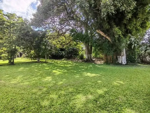 TERRENO PLANO PARA CONSTRUIR EN TIBÁS. EXCELENTE UBICACIÓN