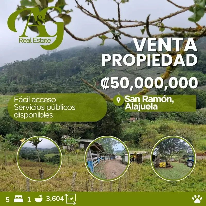 Propiedad en Venta con Alto Potencial Turístico o Familiar – San Ramón, Alajuela