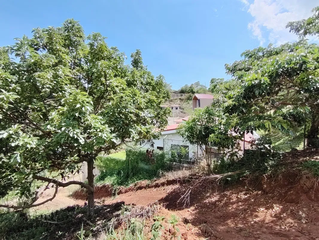 Venta de terreno de 5117 m2 en San Isidro, Pérez Zeledón