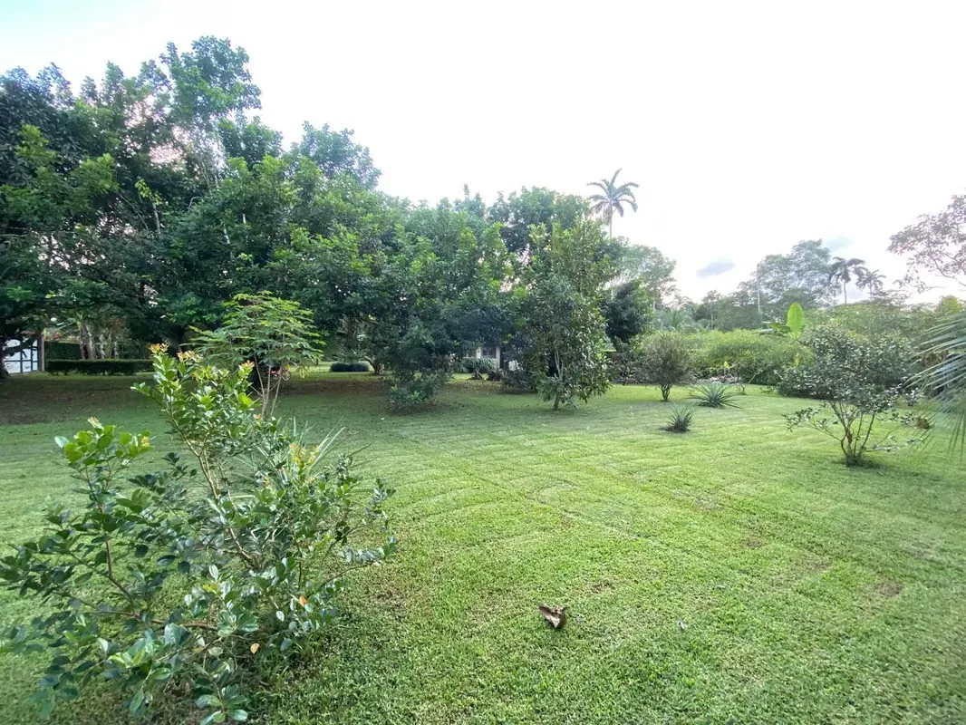 Se vende quinta con casa en Horquetas de Sarapiquí — photo 3