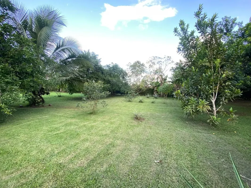Se vende quinta con casa en Horquetas de Sarapiquí — photo 4