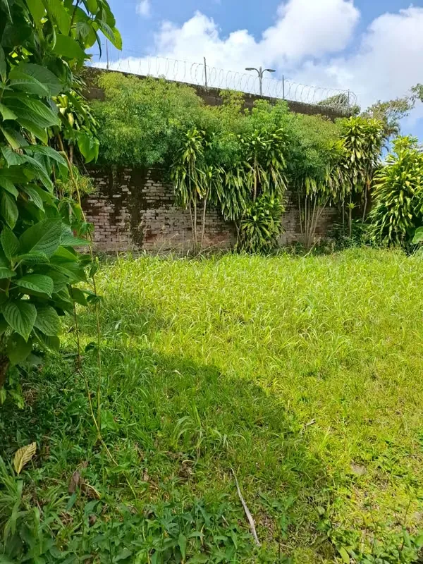 House for Sale in Los Yoses — photo 2