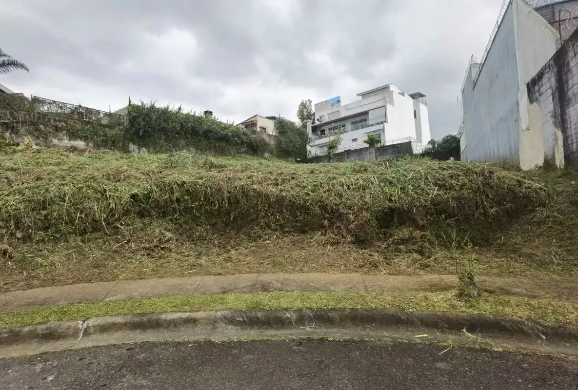 id # 41423 Venta de lote para desarrollo residencial - Curridabat