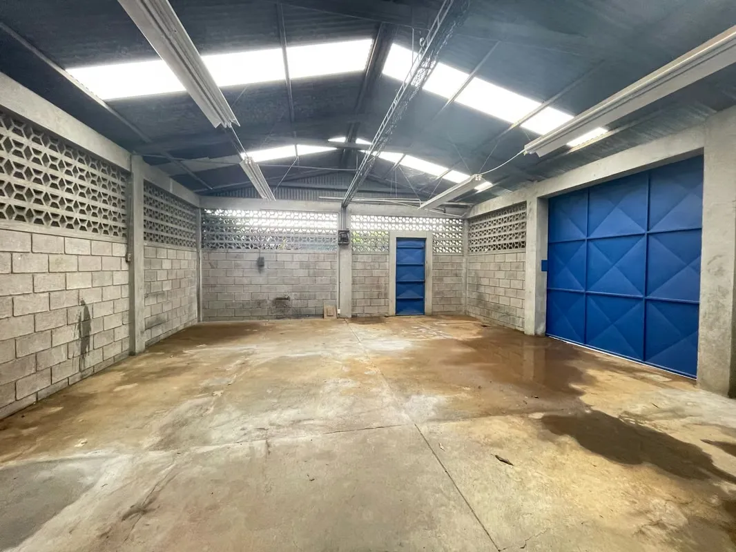 Warehouse and Mixed-Use Property for Sale in Desamparados