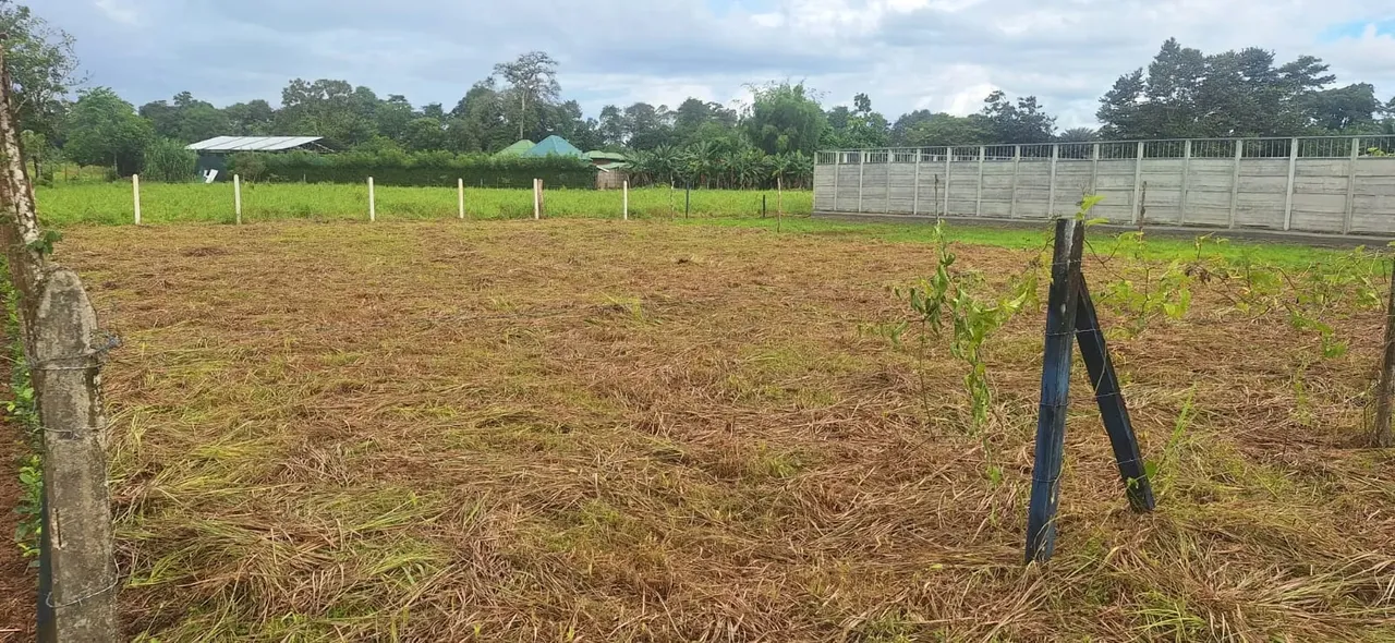 Residential Lot for Sale – Ready to Build in Puerto Jiménez