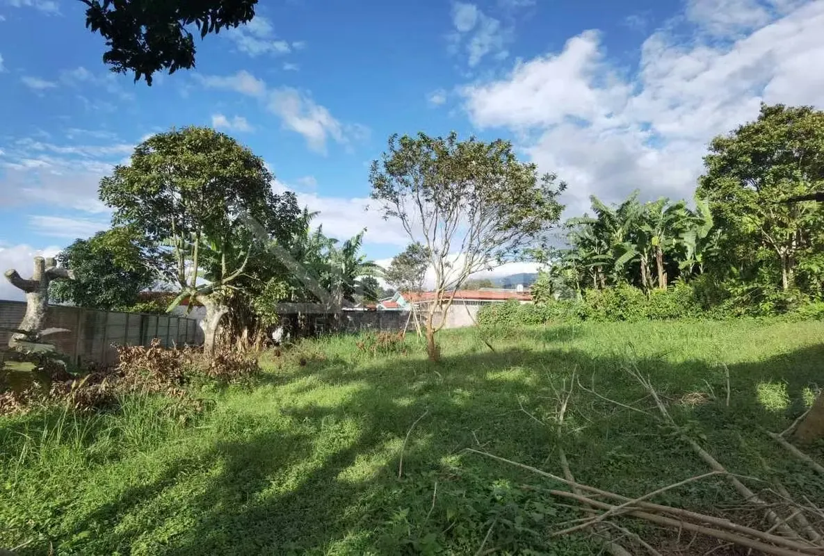 id 41675 Venta de terreno para desarrollo - La Unión - Concepción