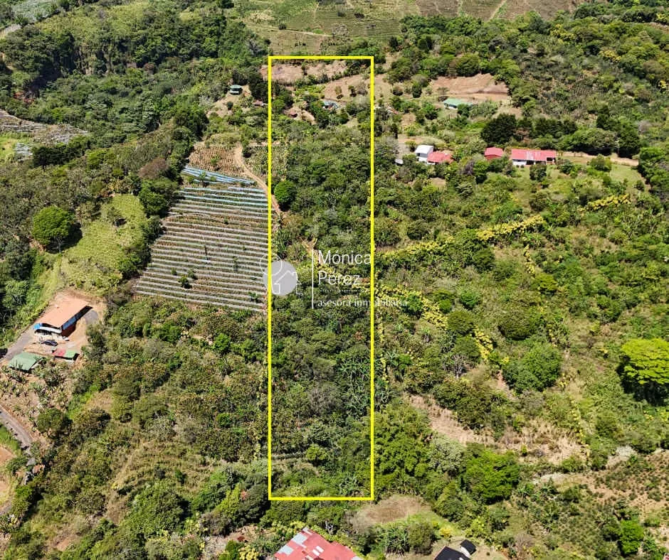3,45 Acres farm in a cool climate area with spectacular views over the Central Valley. It has two watersheds and a legally established ...