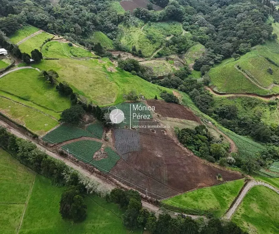 Located in the most fertile area of Western Colombia, this beautiful farm is ideal for growing vegetables, dairy farming, or ...