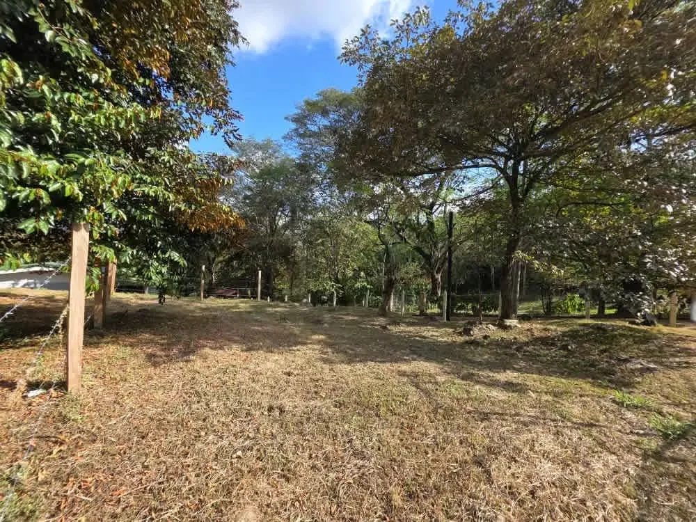 Lote comercial estratégico en San Mateo de Alajuela – alta visibilidad-