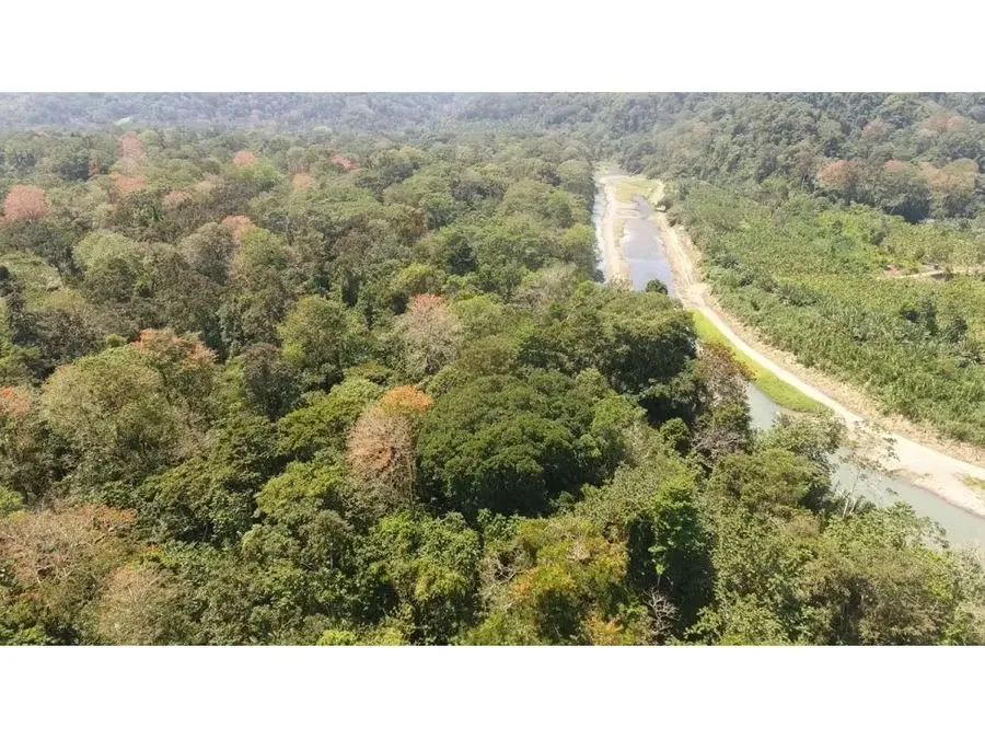Vendo Finca Nanabri, Limón