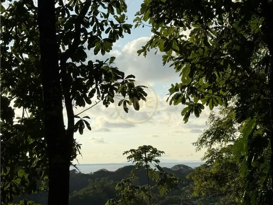 Luxury Tropical Investment: Ocean & Jungle View Lot with Approved Permits