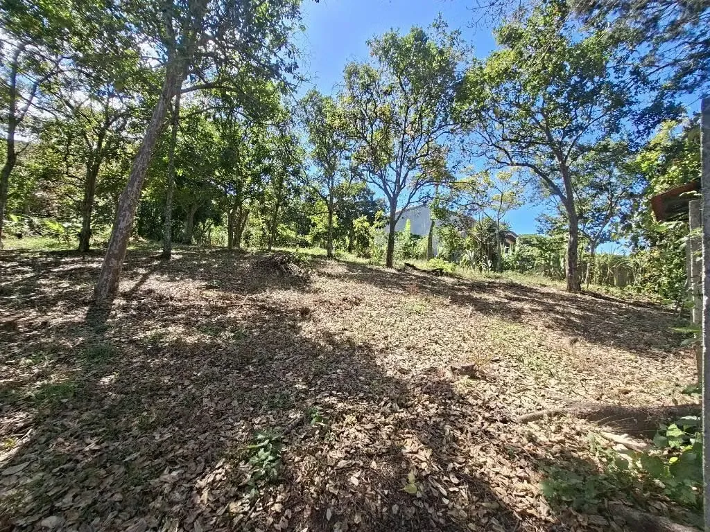 Beautiful Lot for Sale - 986 m² Jaboncillos de Escazú