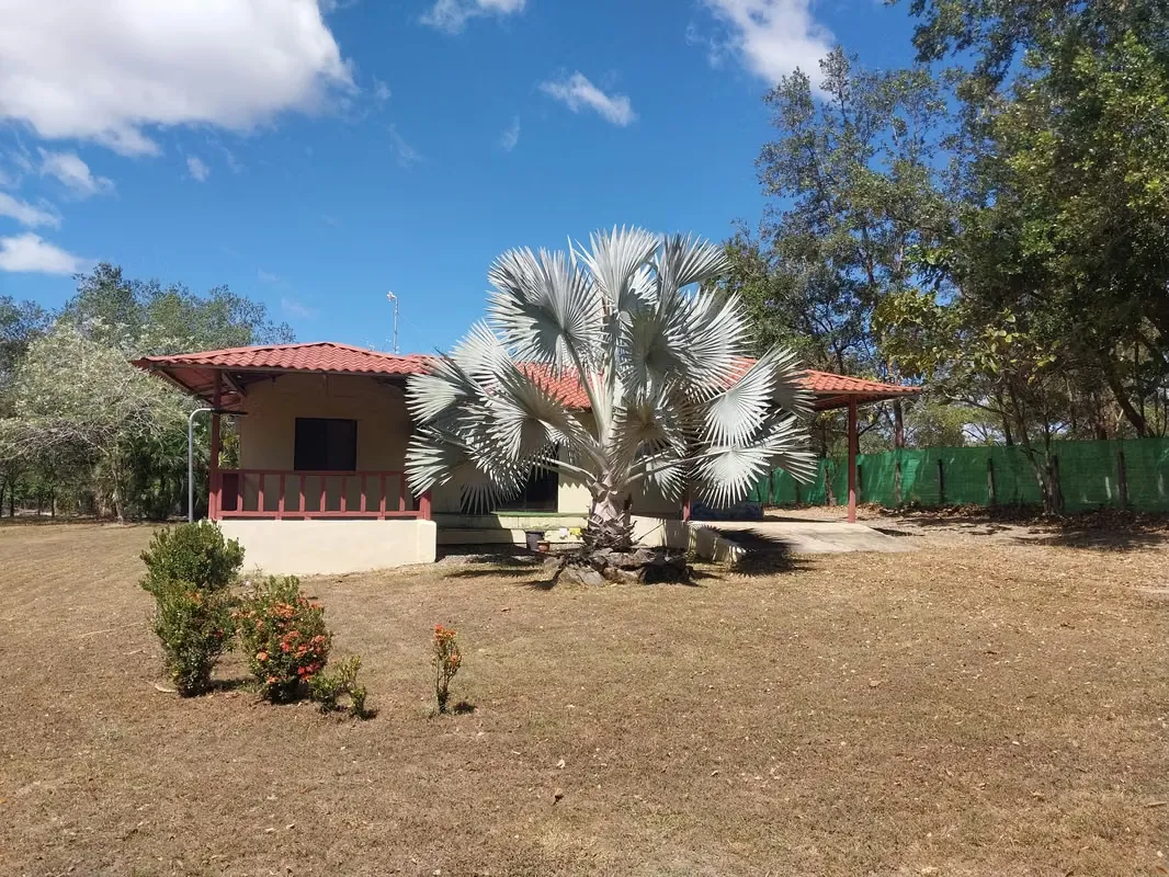 Country-style house for rent with a large lot, 10 minutes from downtown Liberia.