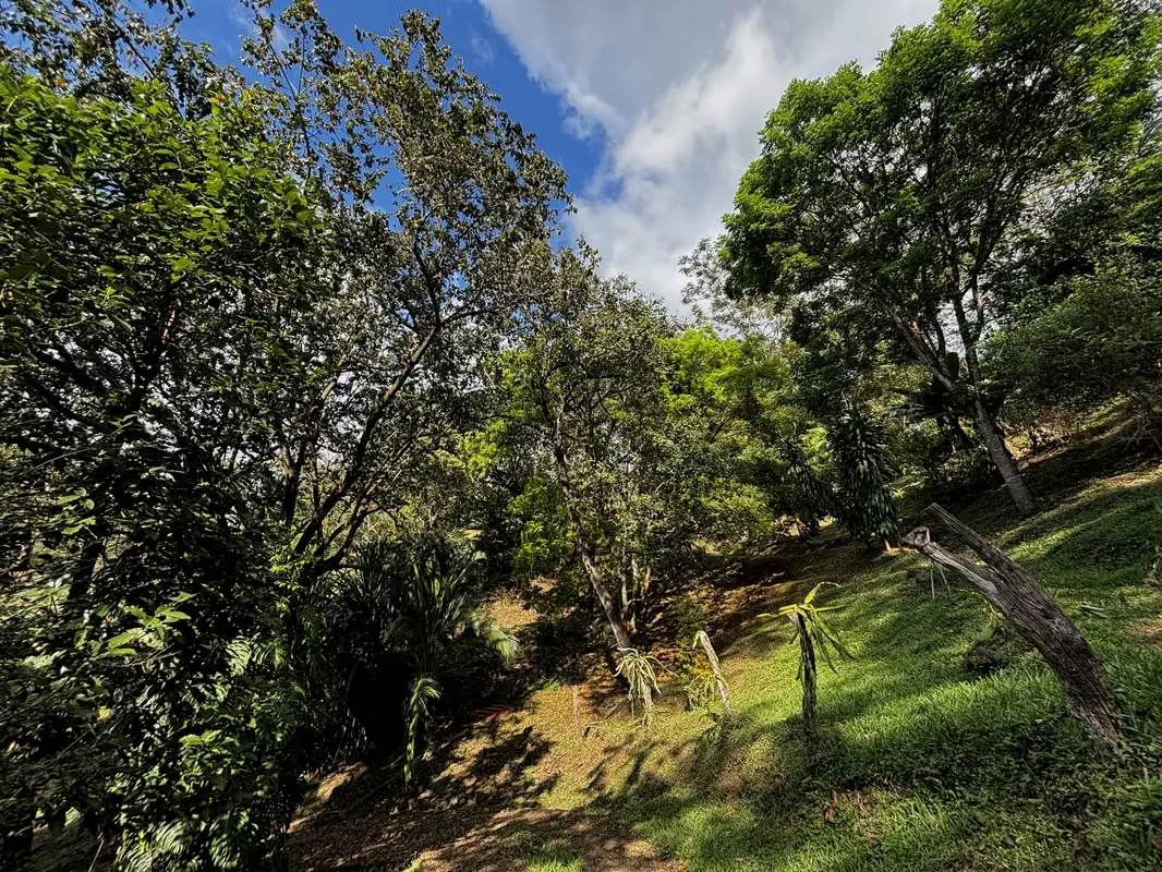 It is sold potential property of 5,018.39 m ² located in San Pedro de Turrubaras, within a private residential with electric gate. Ideal for those who ... — photo 2
