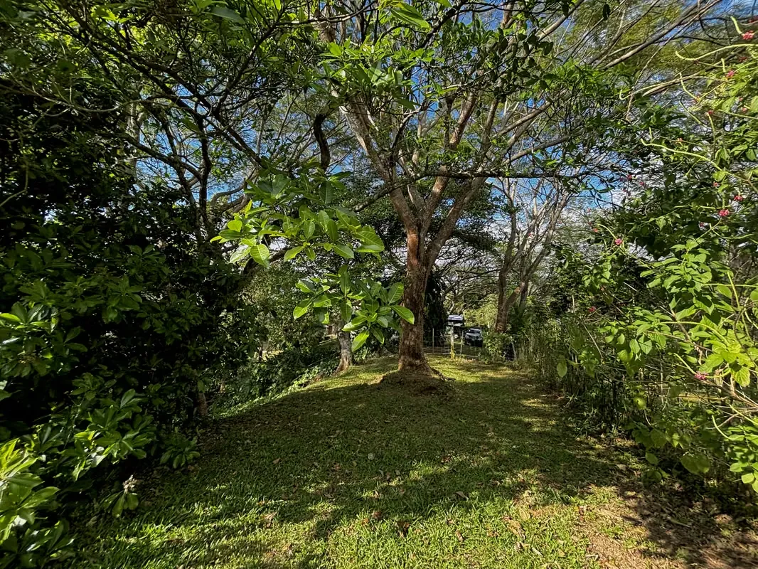 It is sold potential property of 5,018.39 m ² located in San Pedro de Turrubaras, within a private residential with electric gate. Ideal for those who ... — photo 4