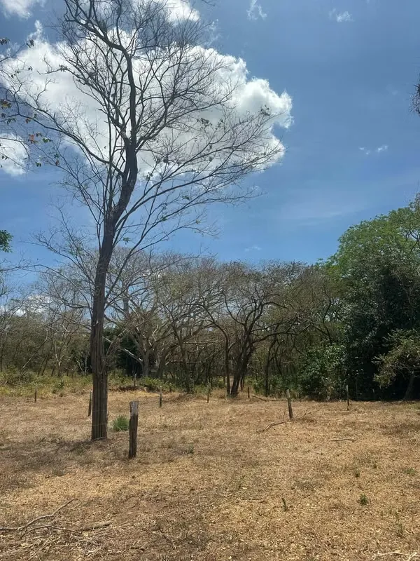 Lotes en venta  – Ubicación privilegiada cerca de la playa Tamarindo