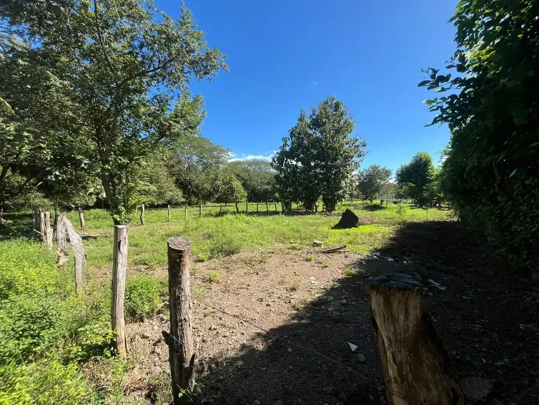 Lote de 400 m² con servicios disponibles en zona tranquila