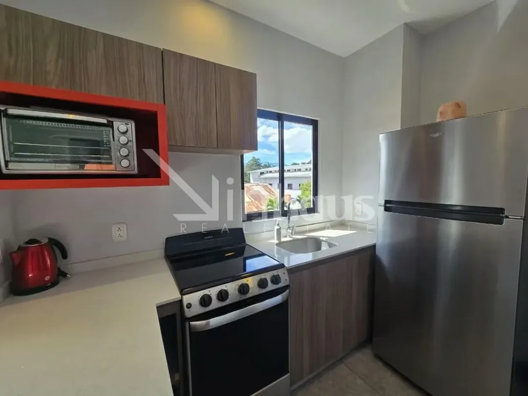 id # 41579 Condominio en venta amoblado en San Pedro — photo 4
