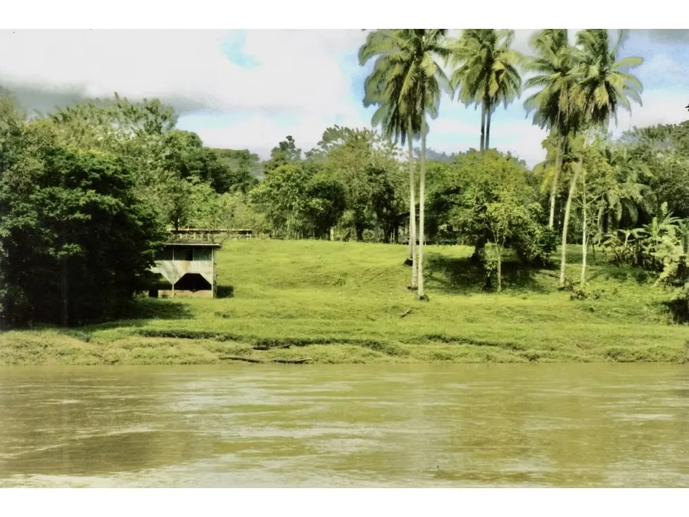 Venta de finca ganadera en San Carlos, Alajuela - Cutris