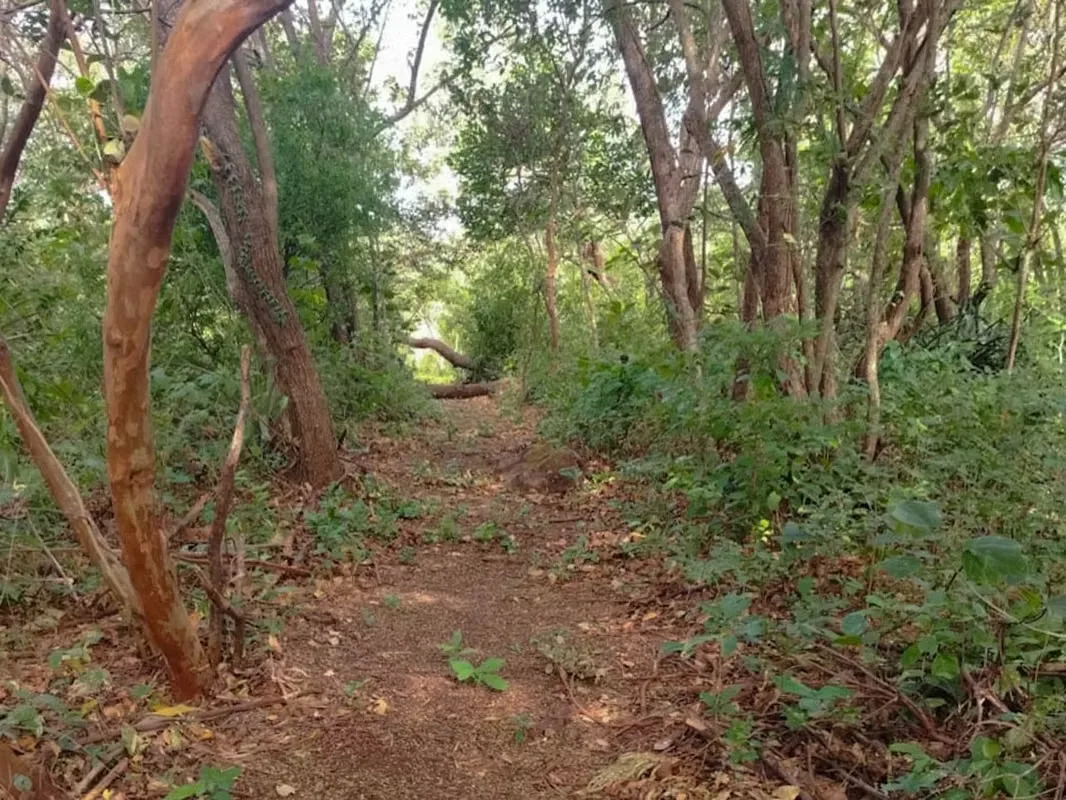 VENTA DE LOTE EN LIBERIA GUANACASTE -  PAMPA