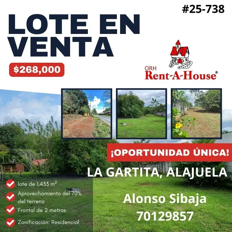Lote #25-738