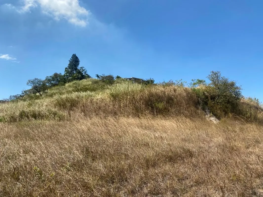 2.8 hectares Land, San José & Mountain View, Residential Development — photo 5