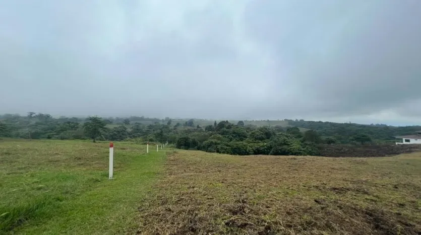 Land for Sale – Ideal to Build Your Home in the Heart of the Forest
