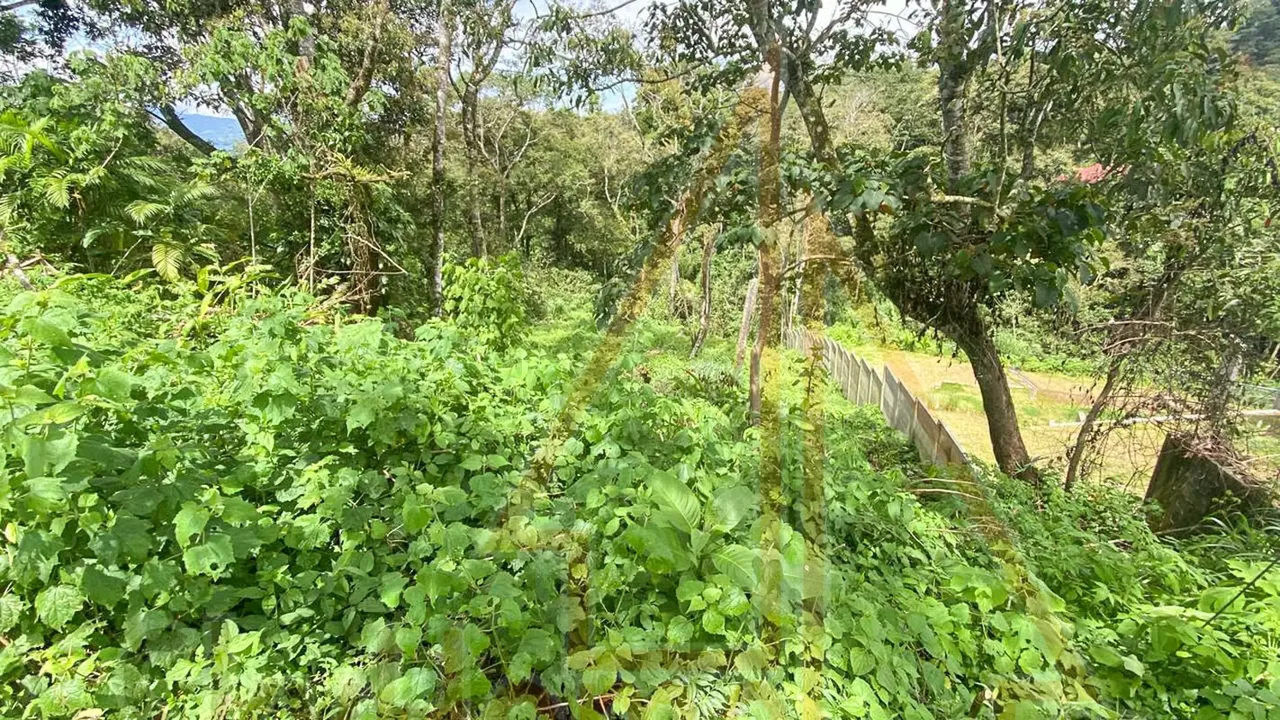 Lot for sale in Tres Ríos | 1286 m2 | IDEAL FOR APARTMENTS | F 667 — photo 2