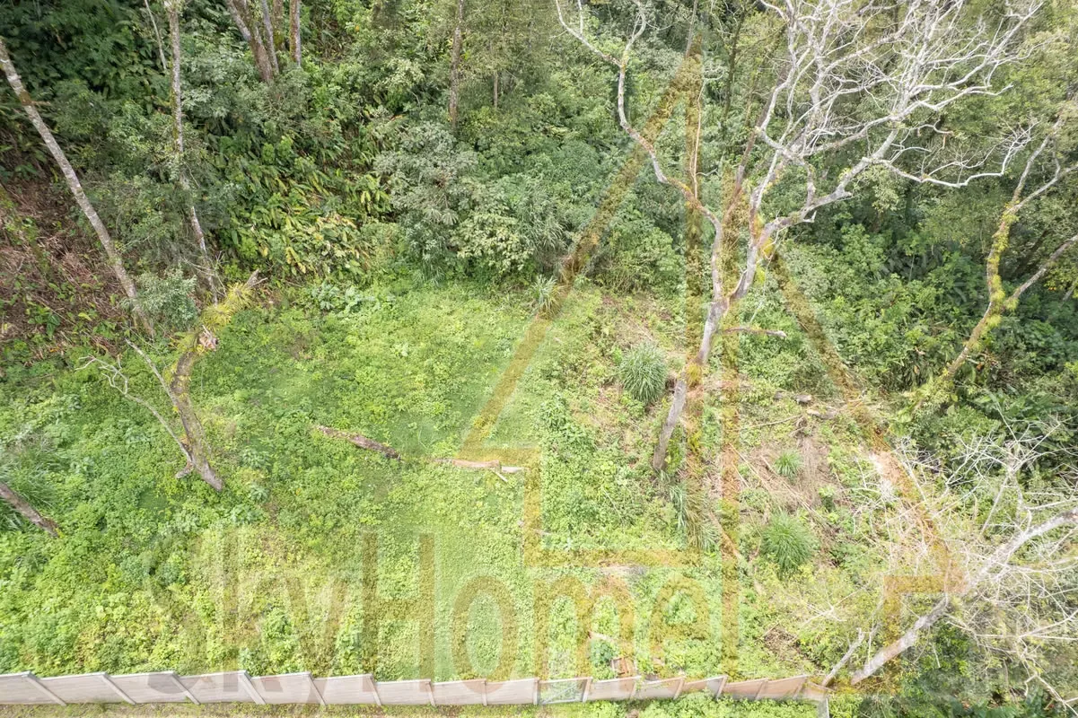 Lot for sale in Tres Ríos | 1286 m2 | IDEAL FOR APARTMENTS | F 667 — photo 3