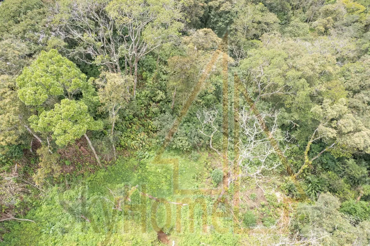 Lot for sale in Tres Ríos | 1286 m2 | IDEAL FOR APARTMENTS | F 667 — photo 4