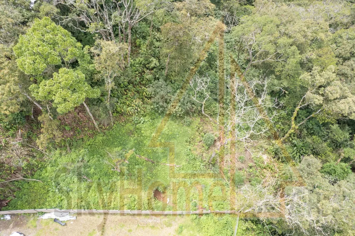 Lot for sale in Tres Ríos | 1286 m2 | IDEAL FOR APARTMENTS | F 667 — photo 5