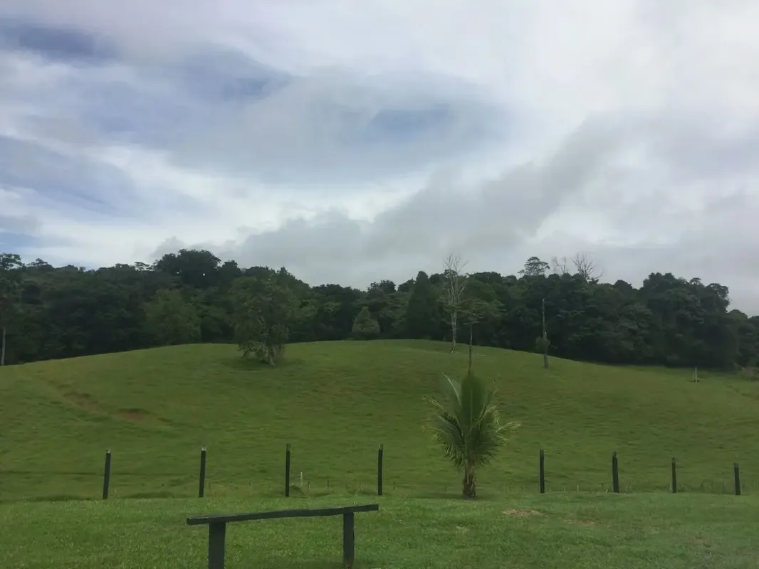 Finca agrícola y ganadera de 83 hectáreas en Sarapiquí, Heredia