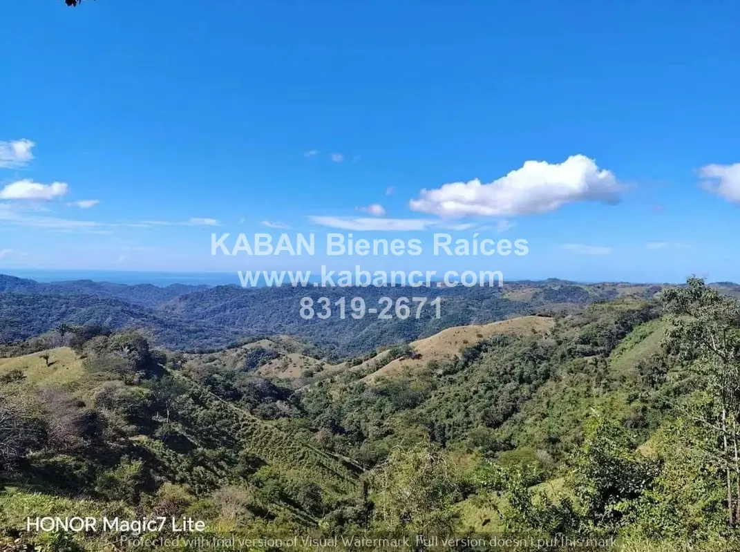 36Ha for Sale with Ocean View in Nosara