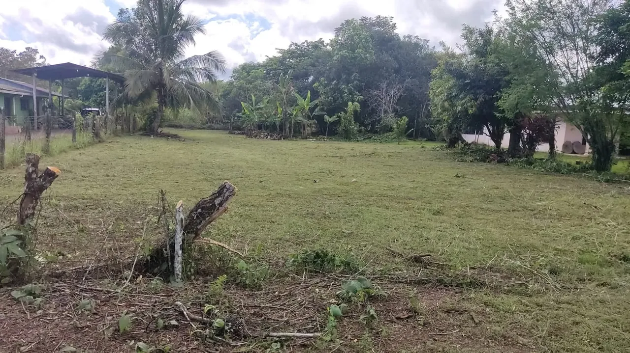 Venta de lote en Puerto Jiménez, Puntarenas.