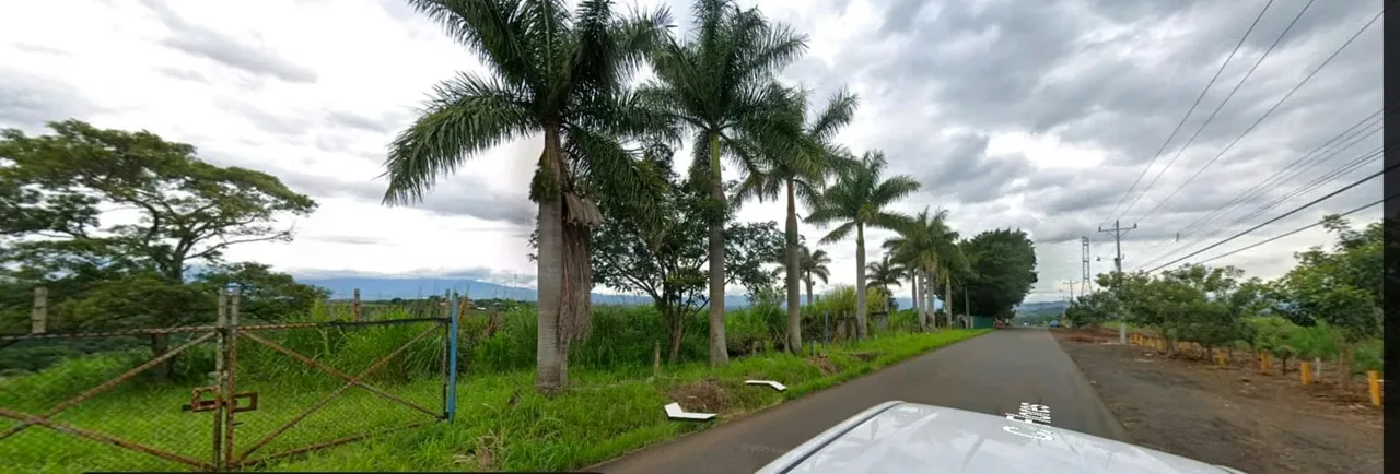 This beautiful 5.985-hectare (50,985 m²) farm is now for sale, allowing you to develop your residential project in the ...
