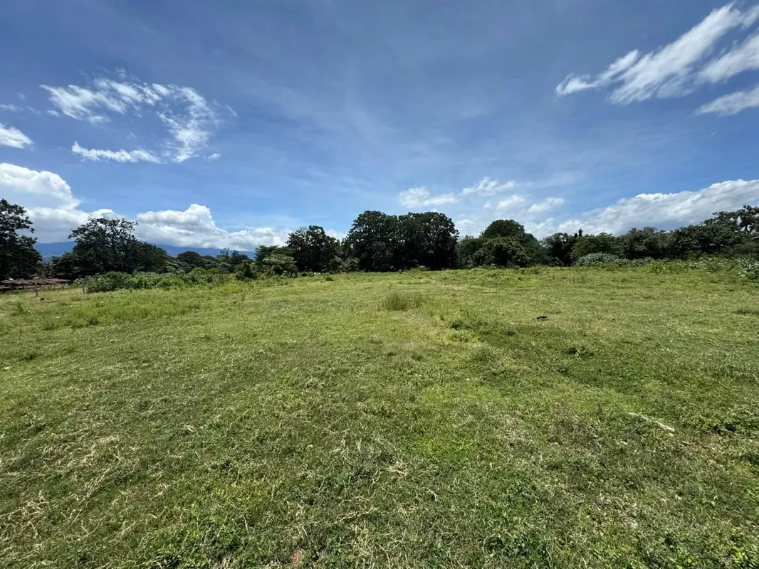 Sale of Lot With Industrial Use in Alajuela for Sale