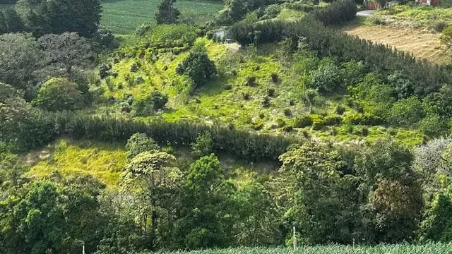Venta de terreno en Zarcero, Alajuela.