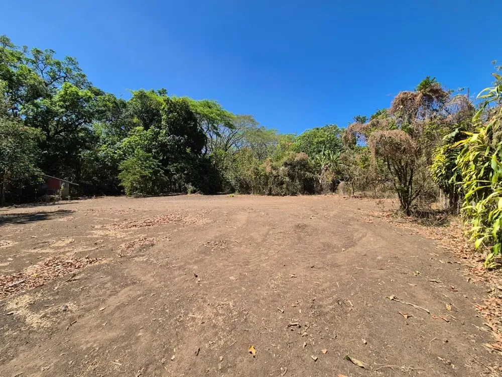 Se Venden Lotes en Libertad de Sardinal