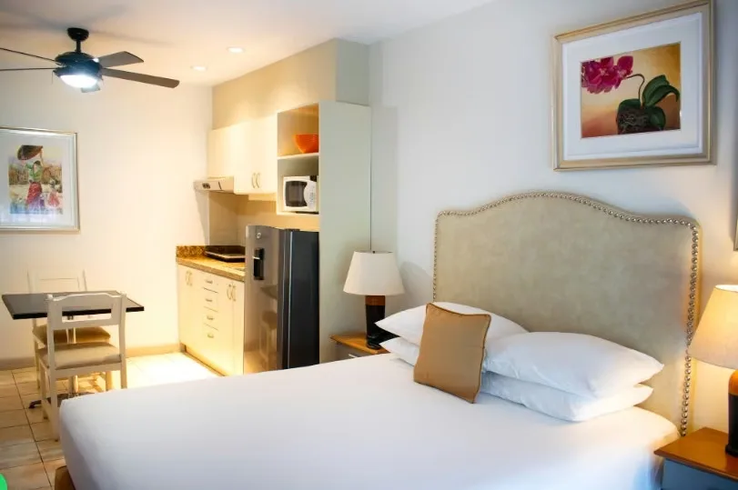 APARTAMENTO STUDIO PARA 1 PERSONA, FULL AMUEBLADO, PET FRIENDLY, EN SABANA NORTE, MATA REDONDA (POR ROSTI, AGENCIA DATSUN, ESTADIO NACIONAL, ICE, ETC.).