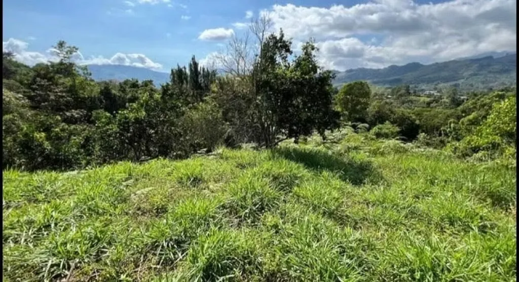 Hermosa propiedad de 3.783,86 m² ubicada en zona tranquila, rodeada de naturaleza y con clima ideal a 1.333 ...