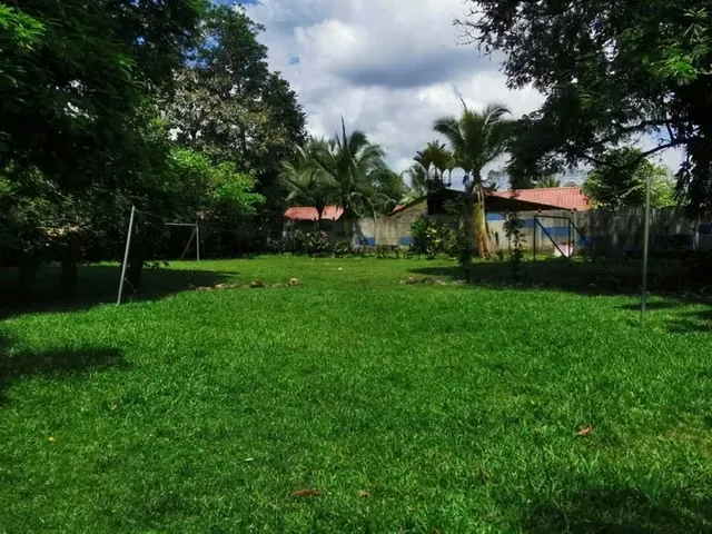For sale in Sarapiqui beautiful Farm — photo 3