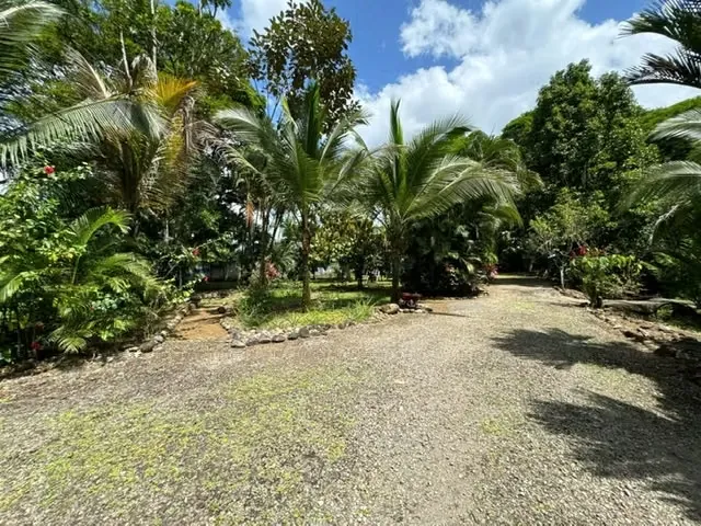 For sale in Sarapiqui beautiful Farm — photo 4