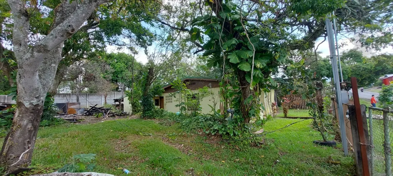 Location: Desamparados, Alajuela – main road frontage — photo 3