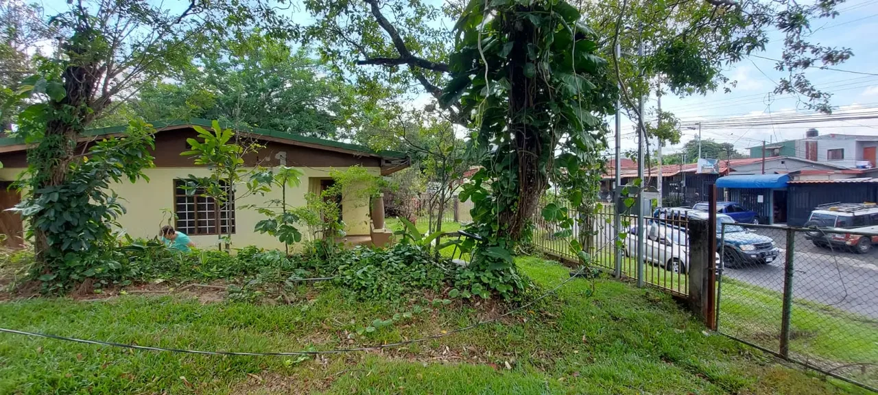 Location: Desamparados, Alajuela – main road frontage — photo 5